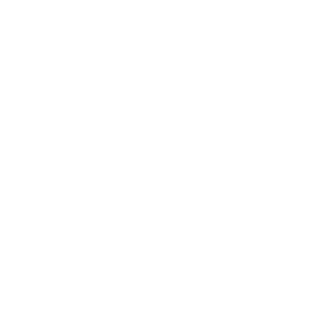 binary the holdings-logo